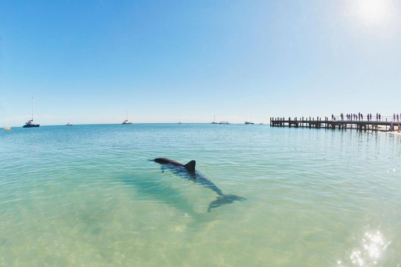 Rac Monkey Mia Dolphin Resort Exterior foto