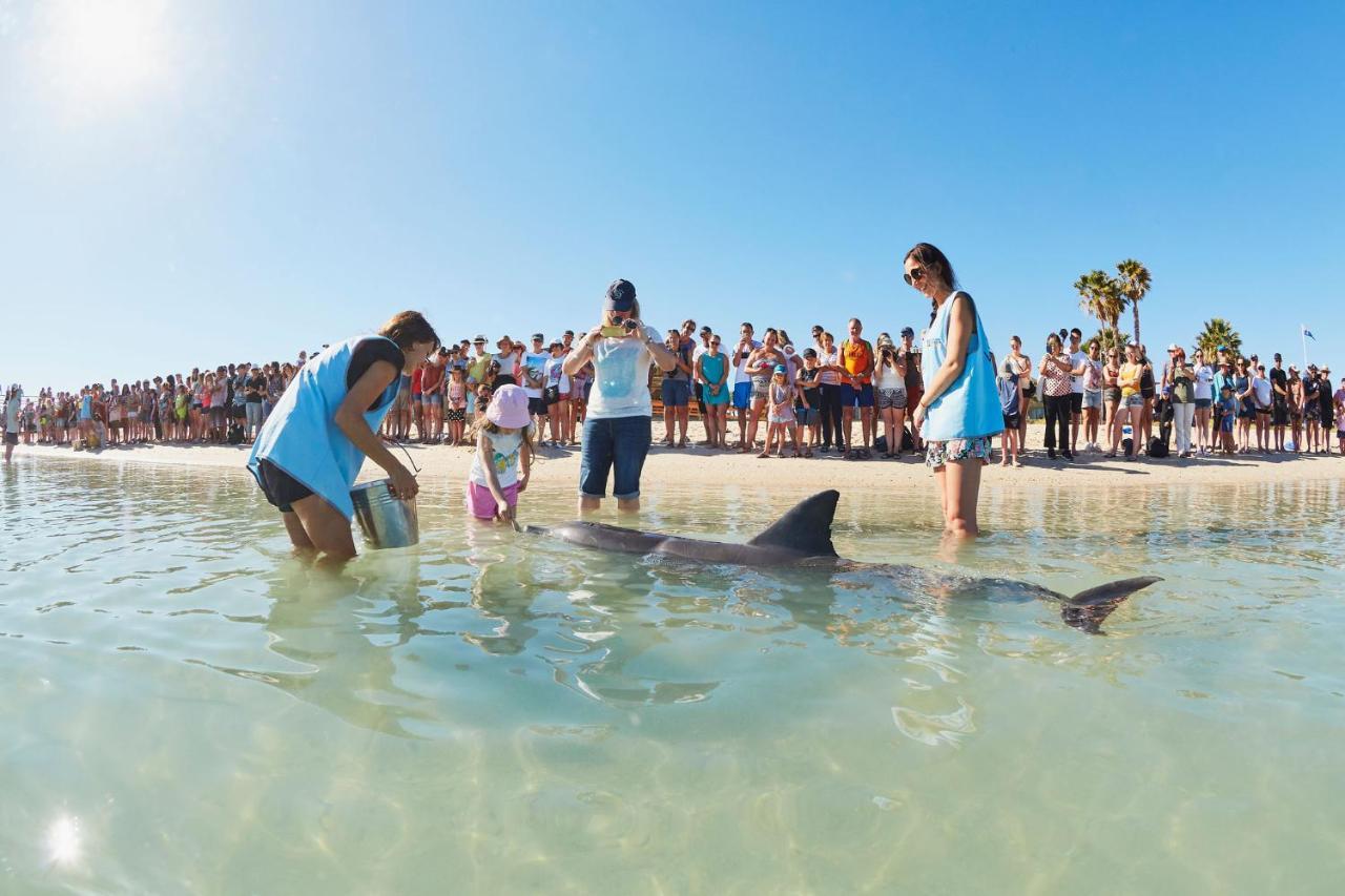 Rac Monkey Mia Dolphin Resort Exterior foto
